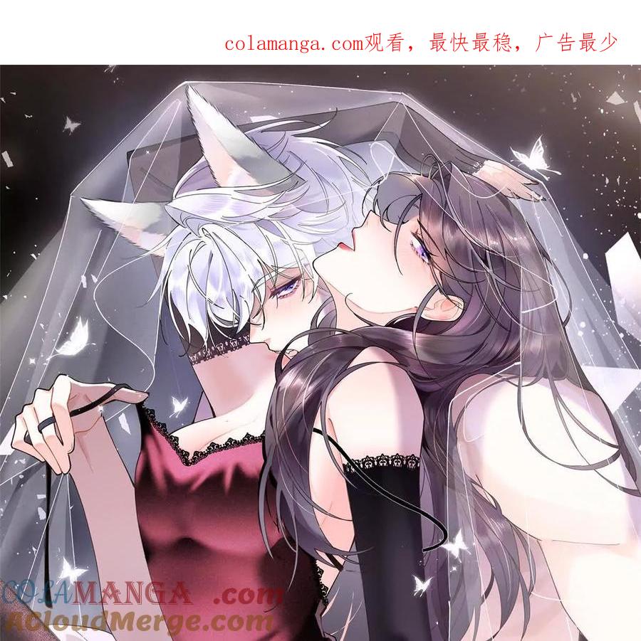 《白天被逃婚晚上被奶凶指挥官求抱》01 那就换个新郎 第1页