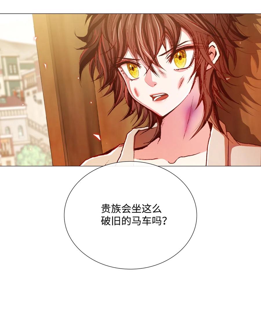 重生成为公爵家的丑女 - 08 药草店 - 第42张图