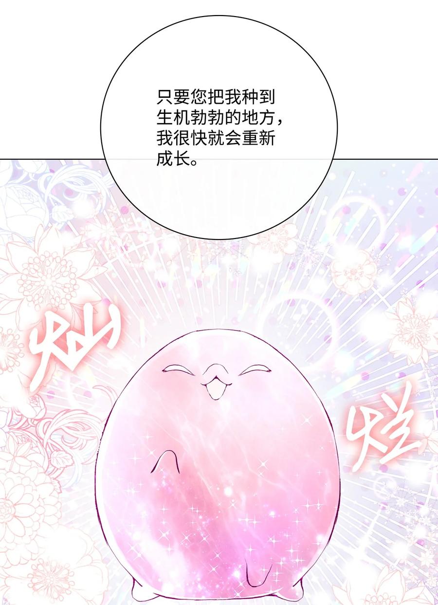 重生成为公爵家的丑女 - 97 世界树种子 - 第96张图