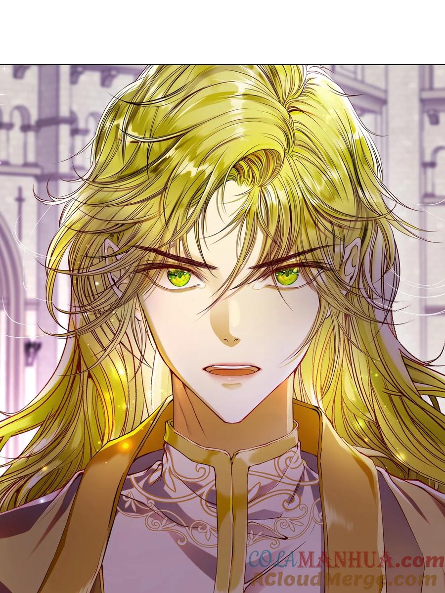 重生成为公爵家的丑女 - 113 艾尔兰的身份 - 第33张图