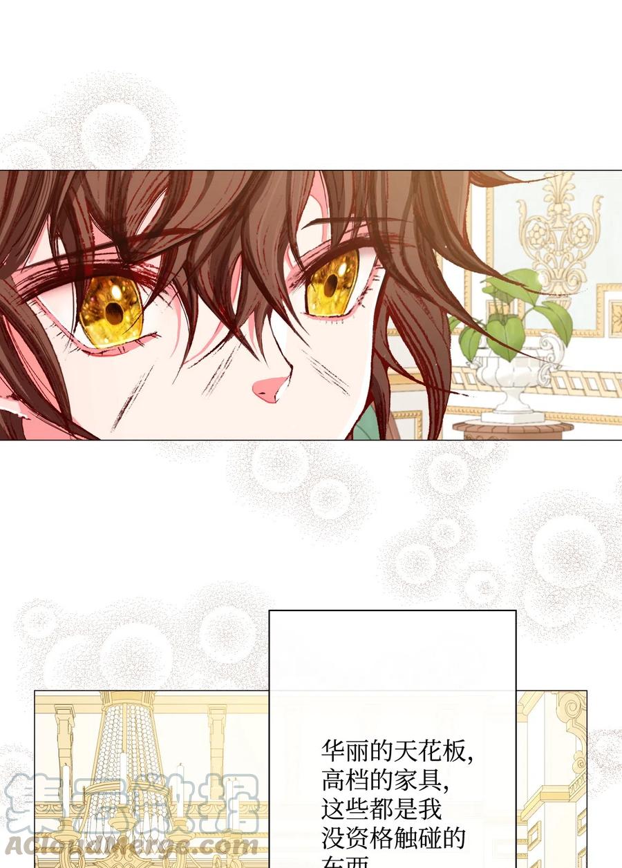 重生成为公爵家的丑女 - 10 男宠？ - 第29张图