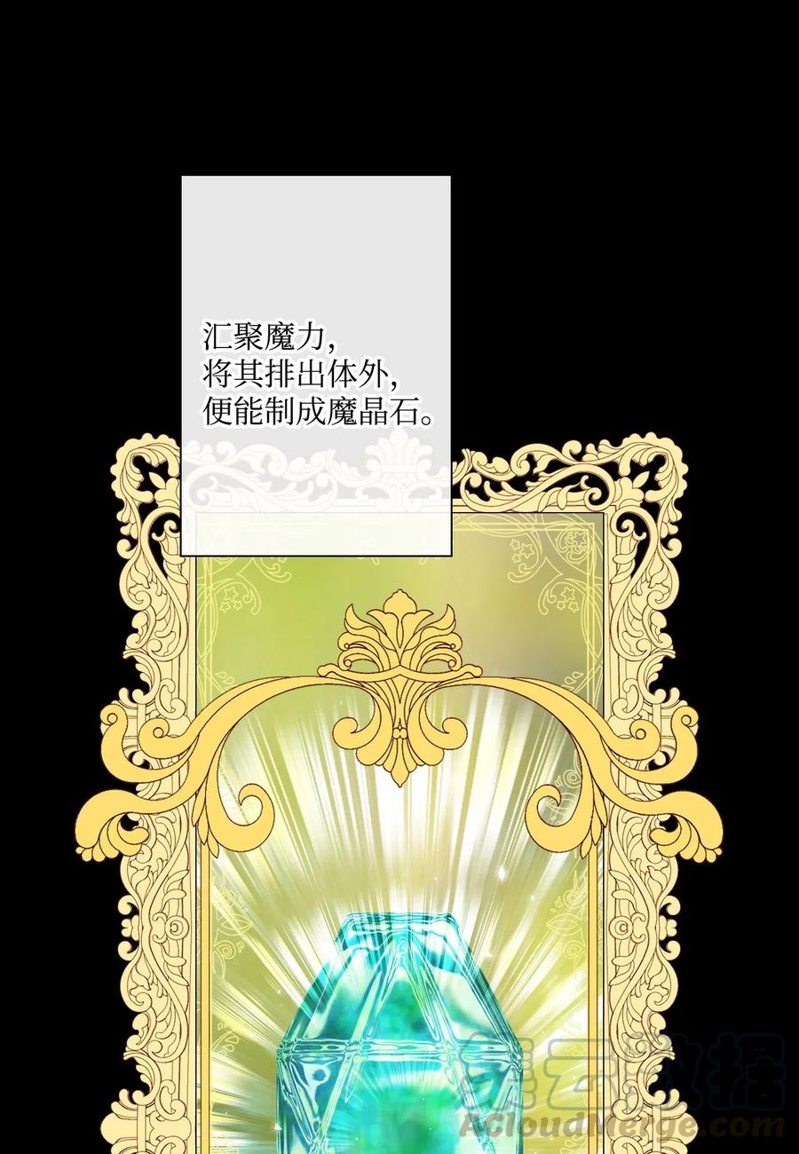 重生成为公爵家的丑女 - 16 魔晶石 - 第69张图