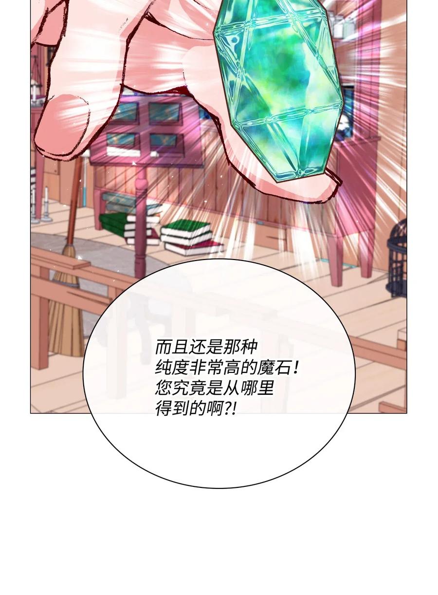 重生成为公爵家的丑女 - 19 魔晶石交易 - 第39张图