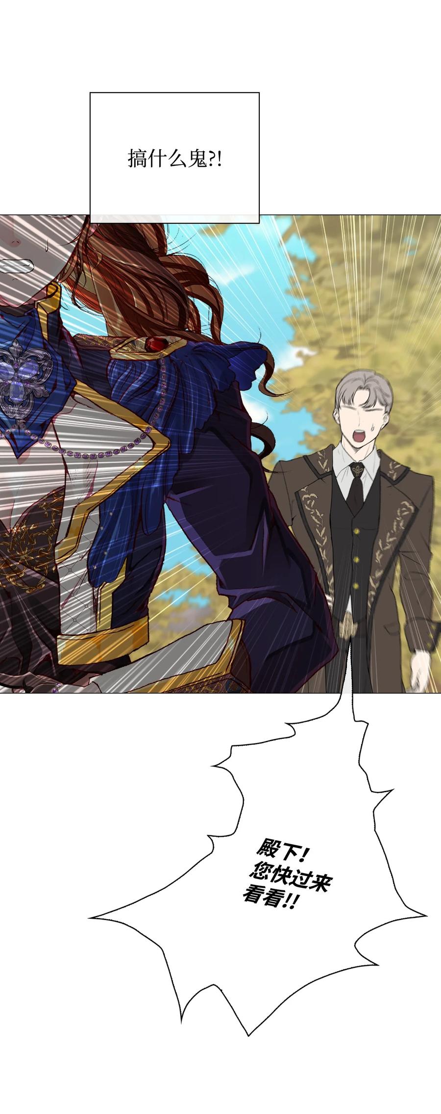 重生成为公爵家的丑女 - 49 决斗 - 第71张图