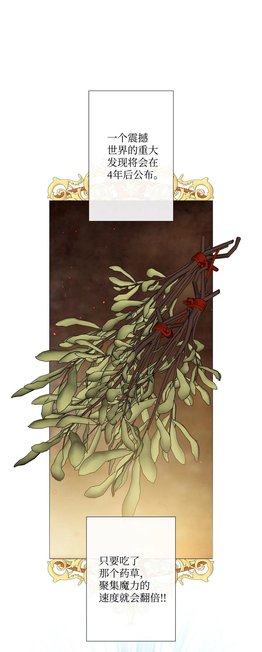 重生成为公爵家的丑女 - 04 购物 - 第26张图