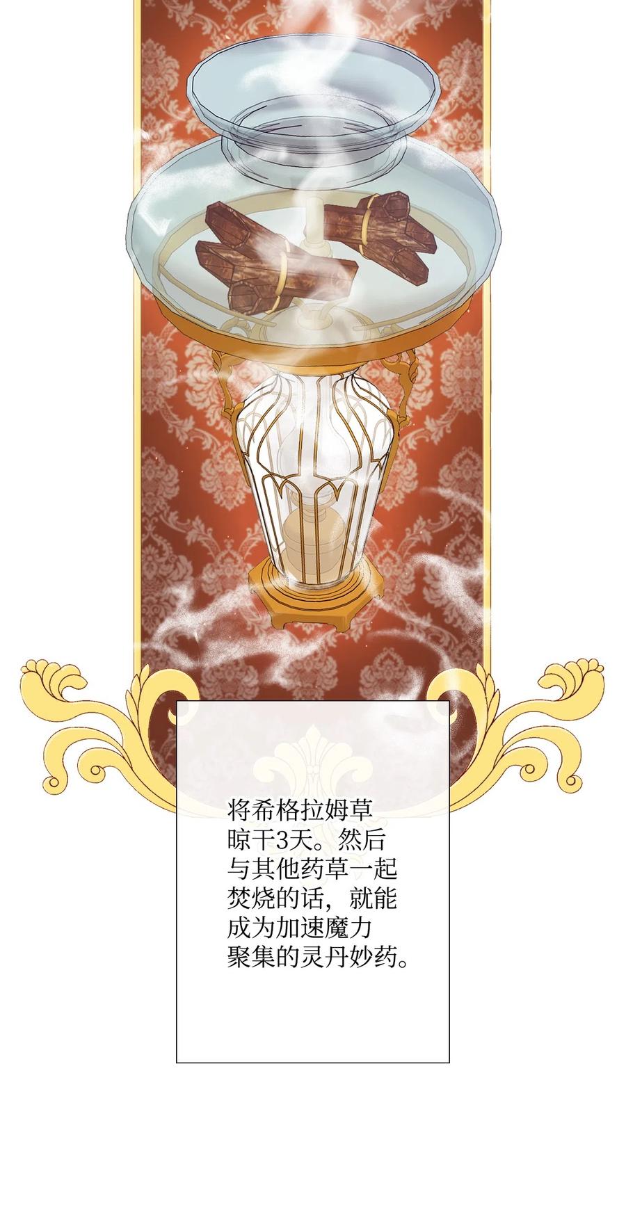 重生成为公爵家的丑女 - 04 购物 - 第28张图