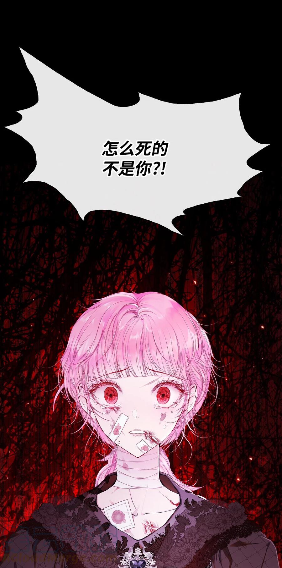 重生成为公爵家的丑女 - 74 双生孽缘 - 第57张图