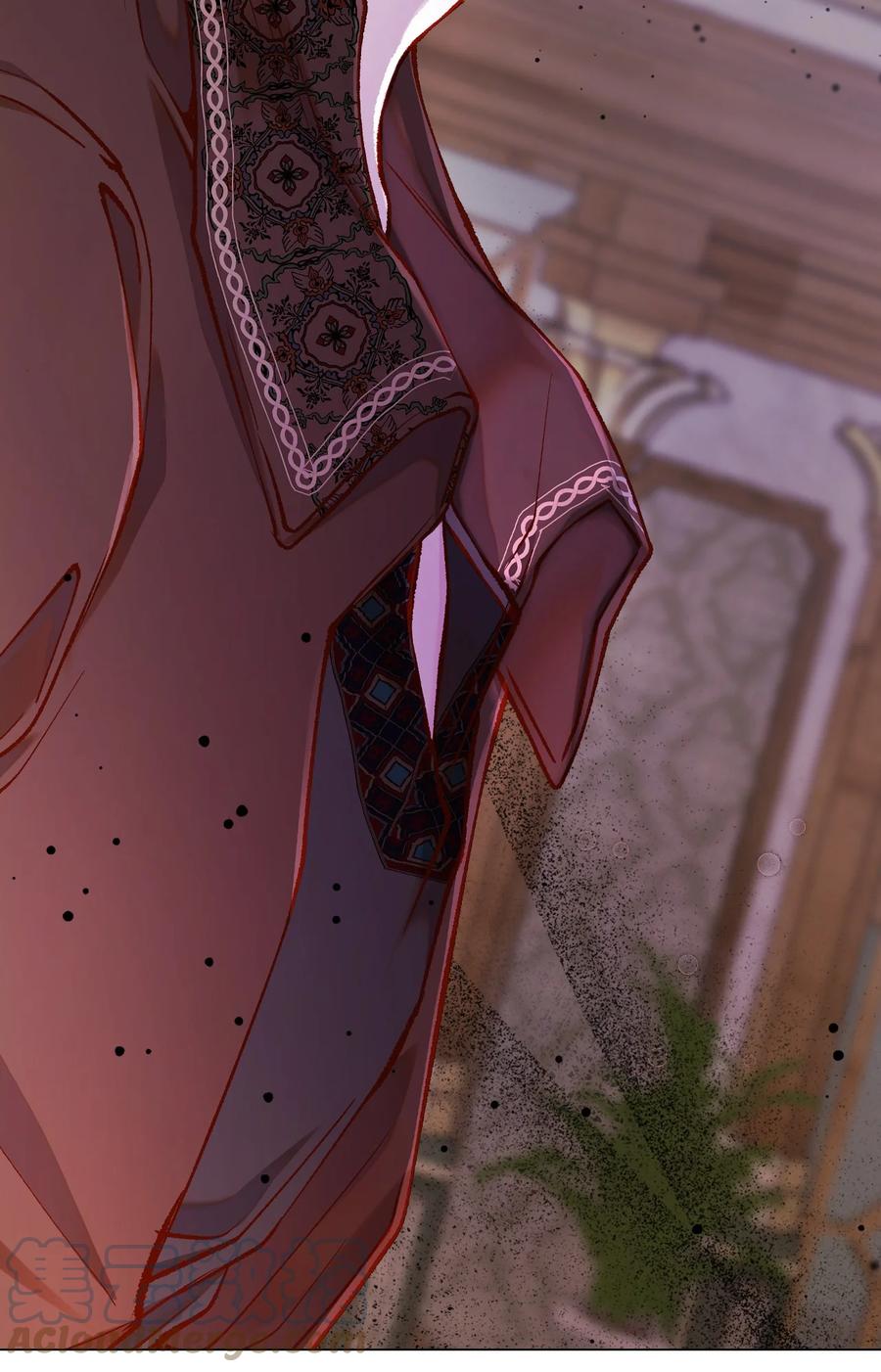 重生成为公爵家的丑女 - 78 不许碰她 - 第43张图