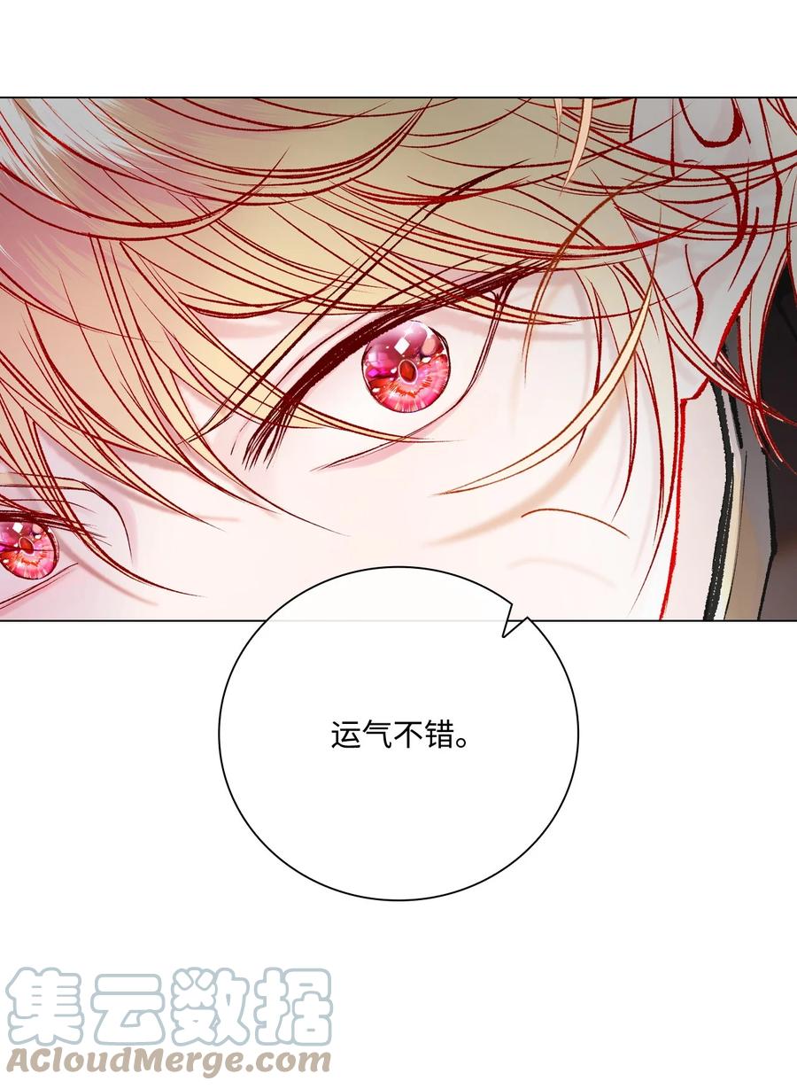 重生成为公爵家的丑女 - 82 公爵的心意 - 第121张图