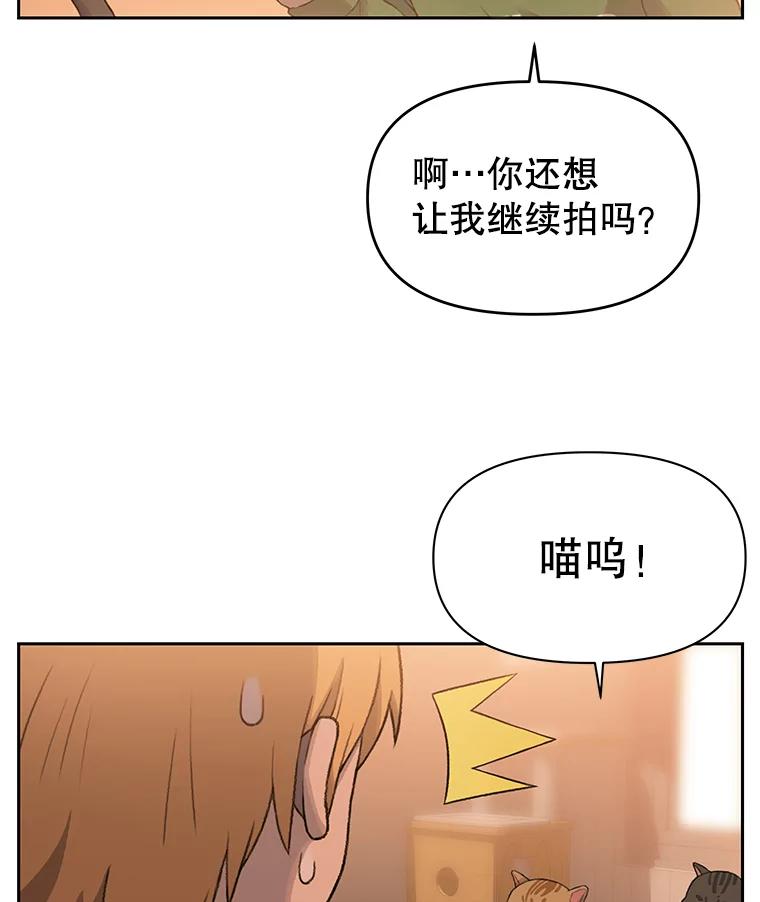 《彩虹桥守望者》20.大白吧真相 第82页