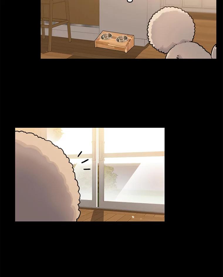 《彩虹桥守望者》21.不舒服就要去医院 第66页
