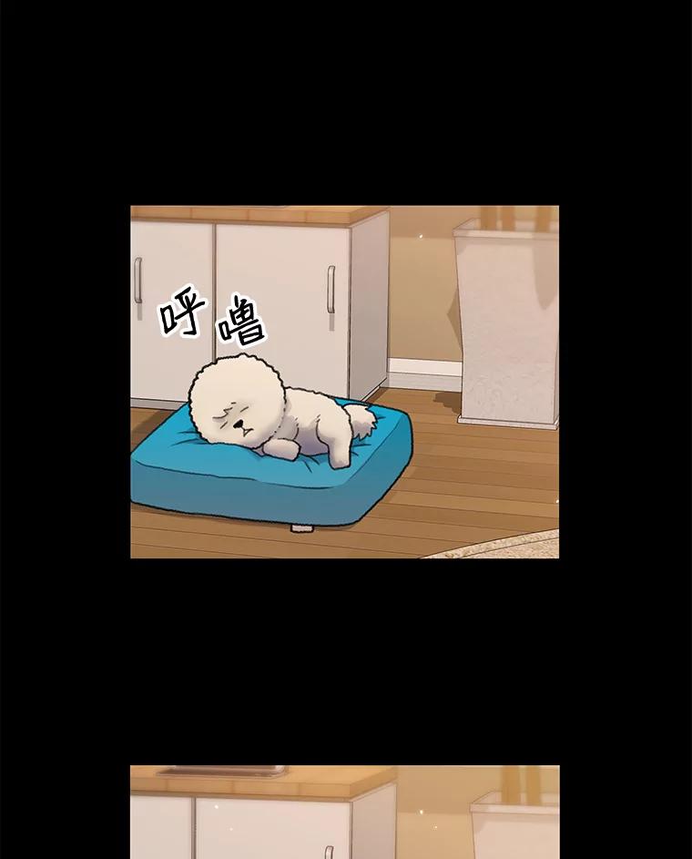 《彩虹桥守望者》21.不舒服就要去医院 第62页