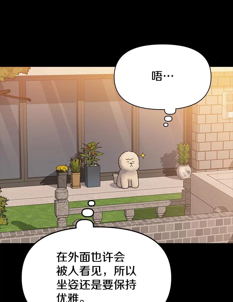 《彩虹桥守望者》21.不舒服就要去医院 第69页