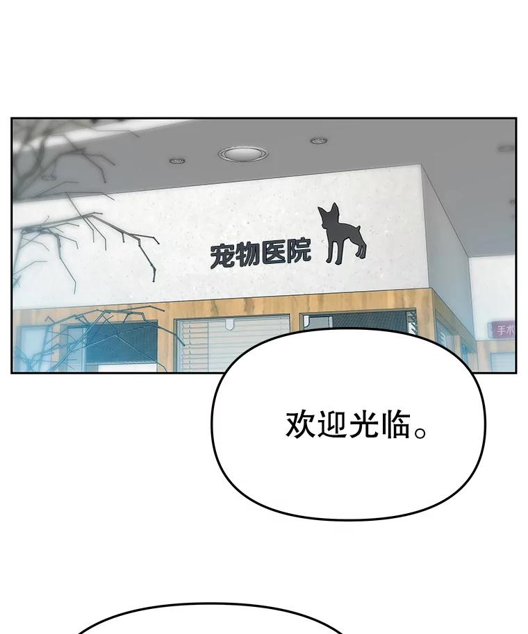 《彩虹桥守望者》21.不舒服就要去医院 第45页