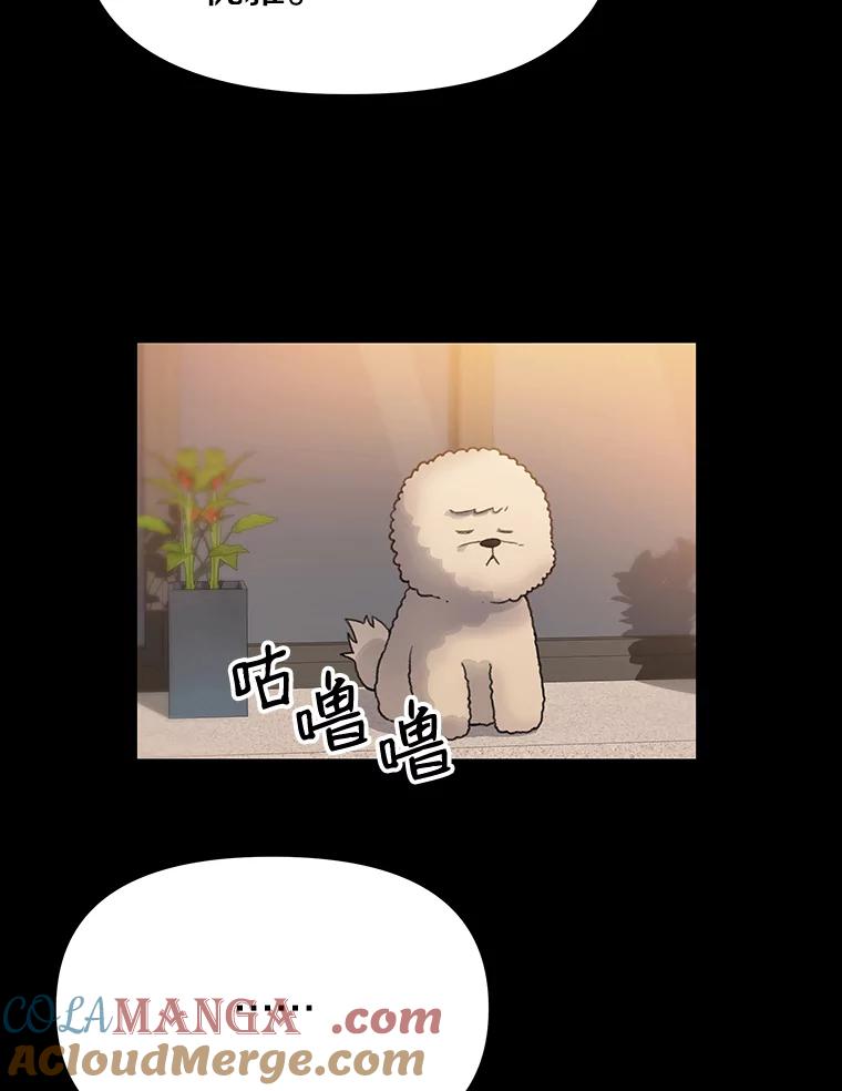 《彩虹桥守望者》21.不舒服就要去医院 第70页