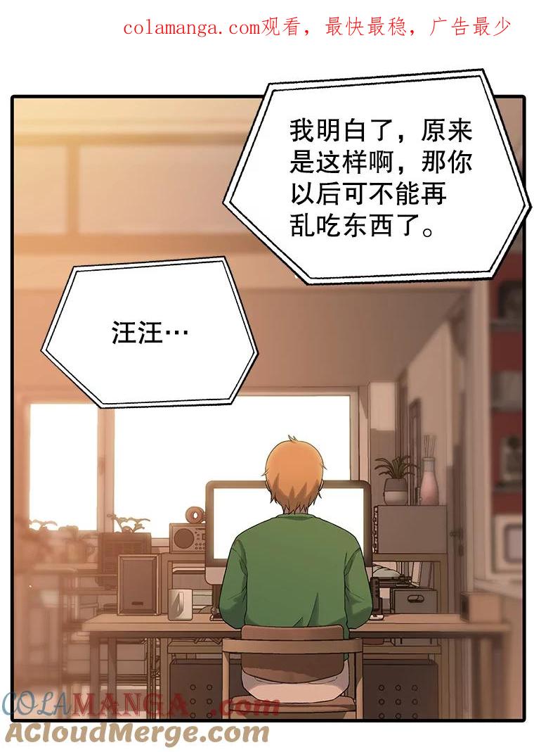 《彩虹桥守望者》21.不舒服就要去医院 第1页