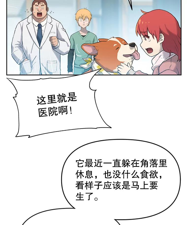 《彩虹桥守望者》21.不舒服就要去医院 第42页