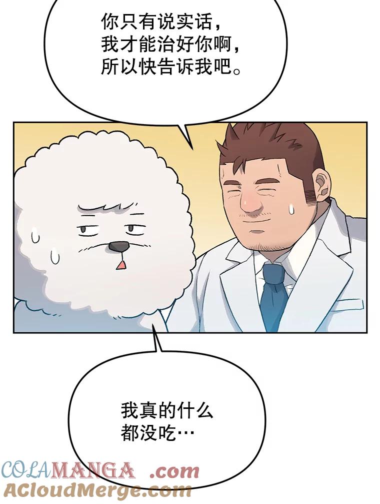 《彩虹桥守望者》21.不舒服就要去医院 第58页