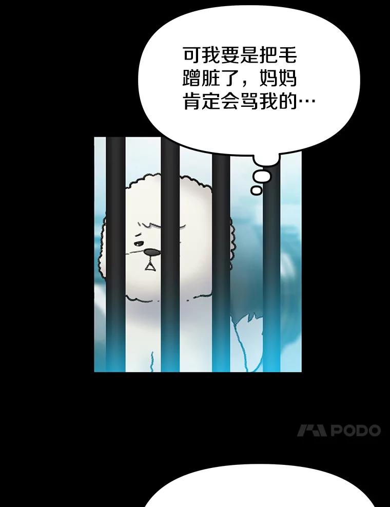 《彩虹桥守望者》22.神秘的流浪者 第45页