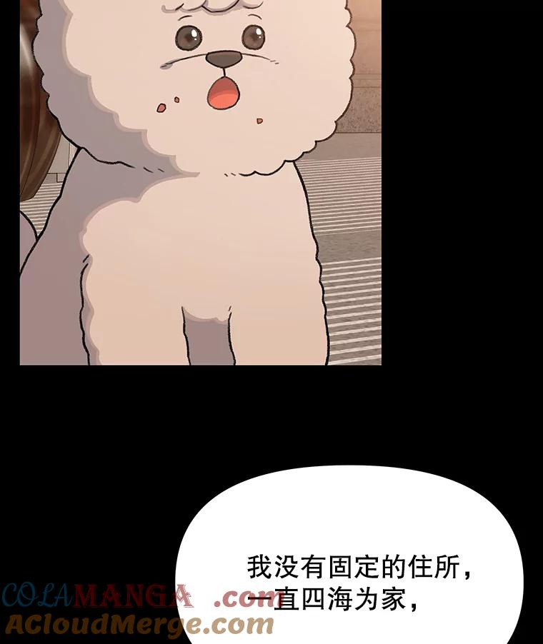 《彩虹桥守望者》22.神秘的流浪者 第13页