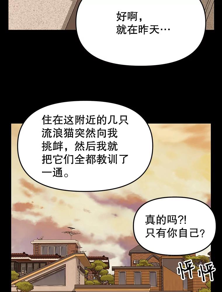 《彩虹桥守望者》22.神秘的流浪者 第18页