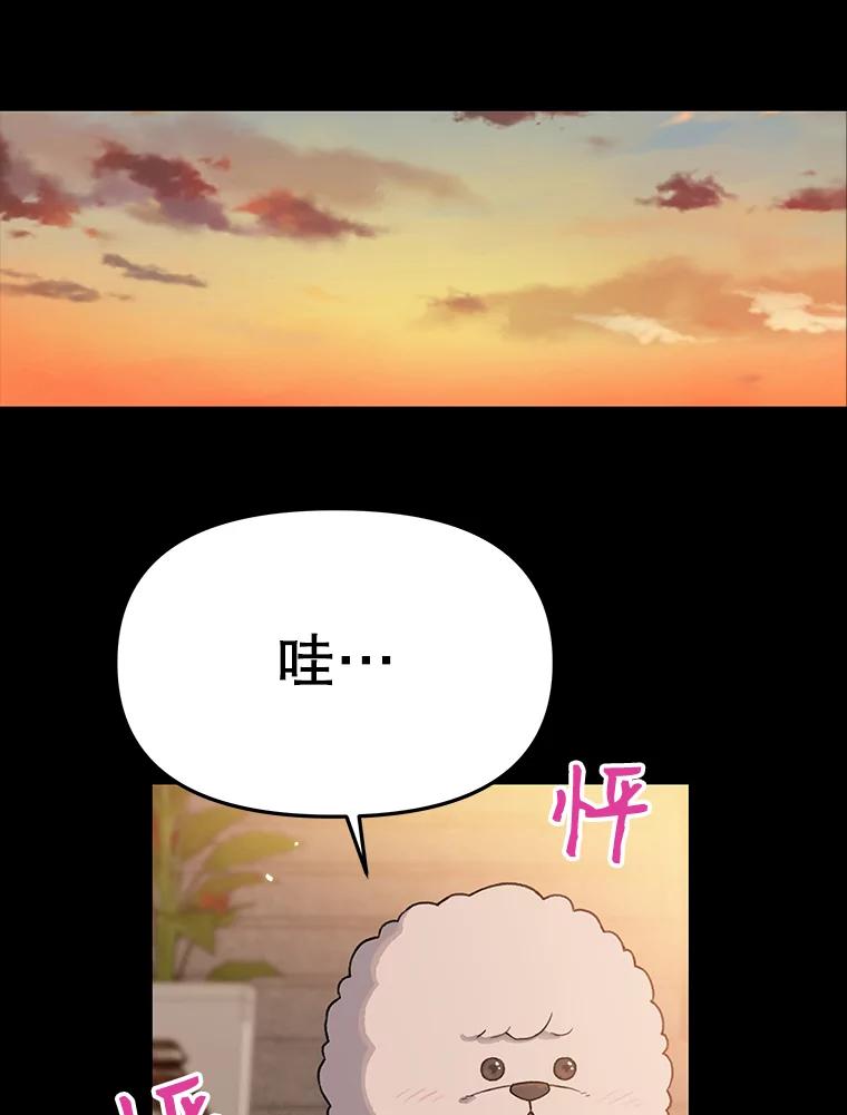 《彩虹桥守望者》22.神秘的流浪者 第20页
