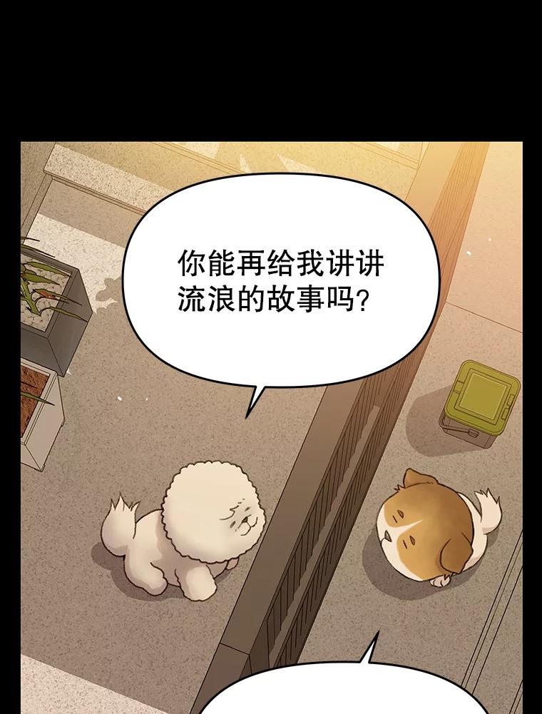 《彩虹桥守望者》22.神秘的流浪者 第17页