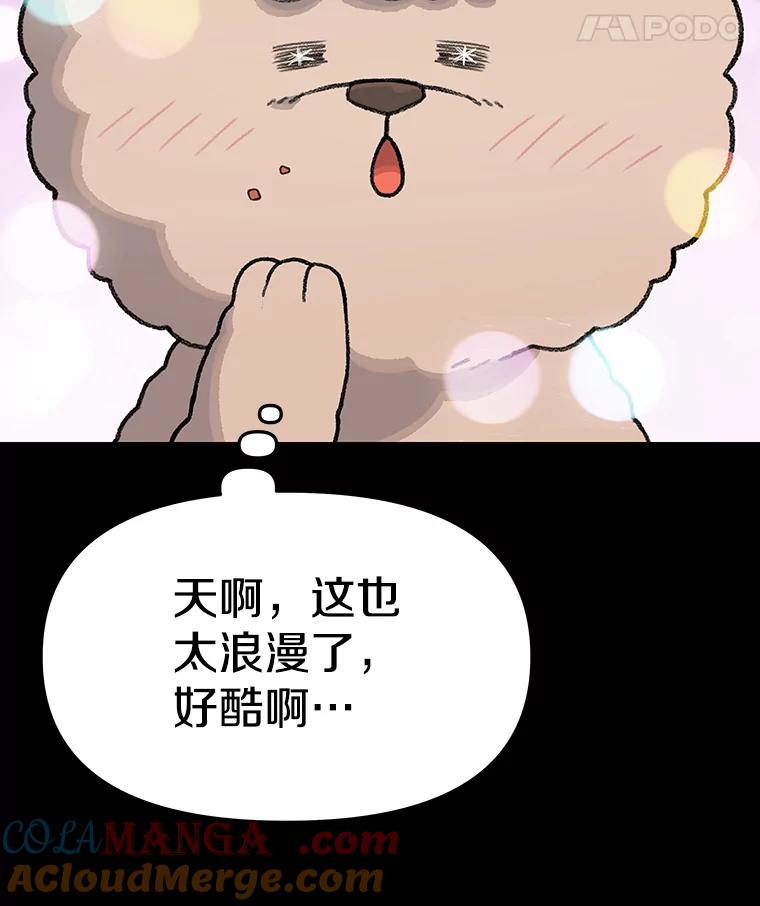 《彩虹桥守望者》22.神秘的流浪者 第16页