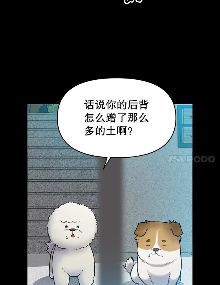 《彩虹桥守望者》22.神秘的流浪者 第42页