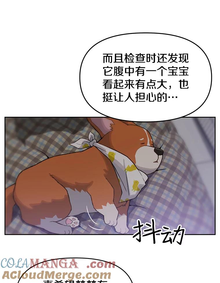 《彩虹桥守望者》22.神秘的流浪者 第79页