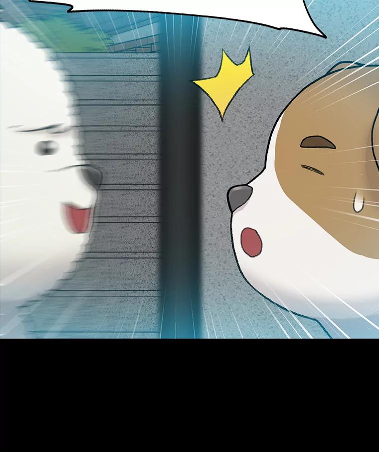 《彩虹桥守望者》22.神秘的流浪者 第54页
