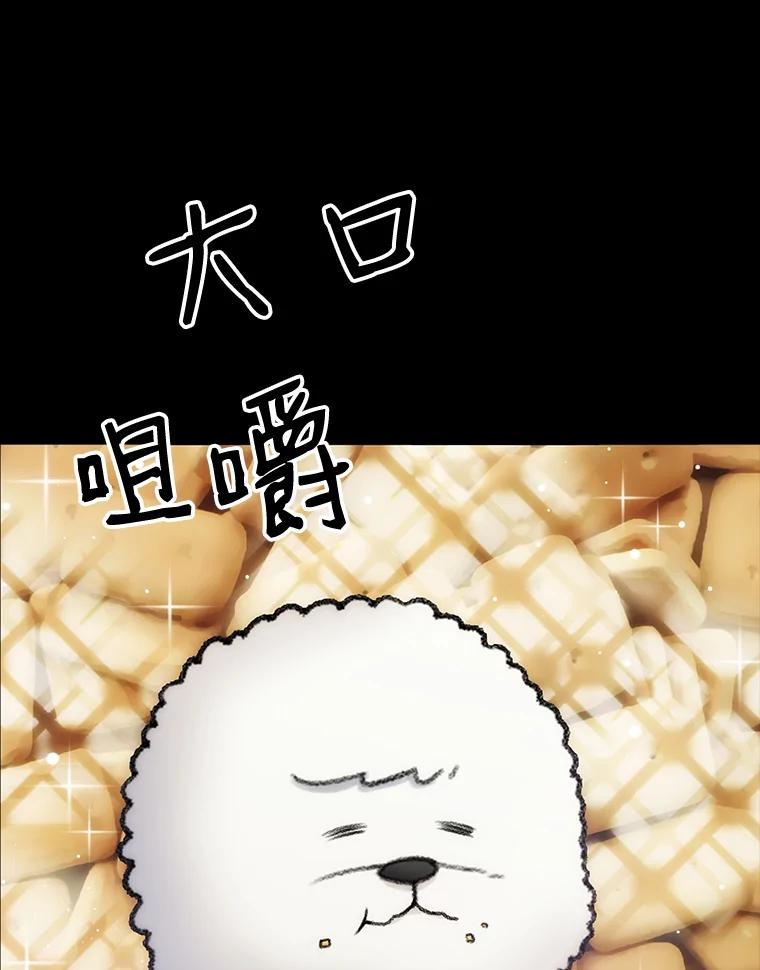 《彩虹桥守望者》22.神秘的流浪者 第38页