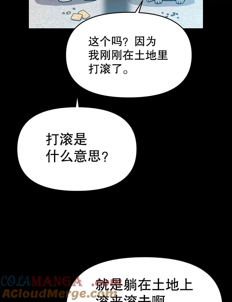 《彩虹桥守望者》22.神秘的流浪者 第43页