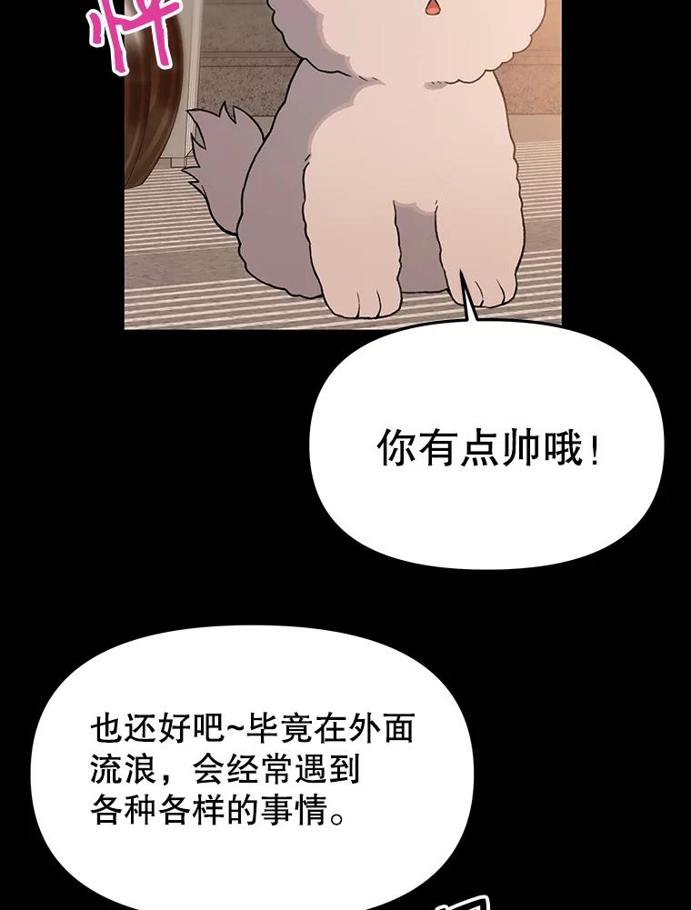 《彩虹桥守望者》22.神秘的流浪者 第21页