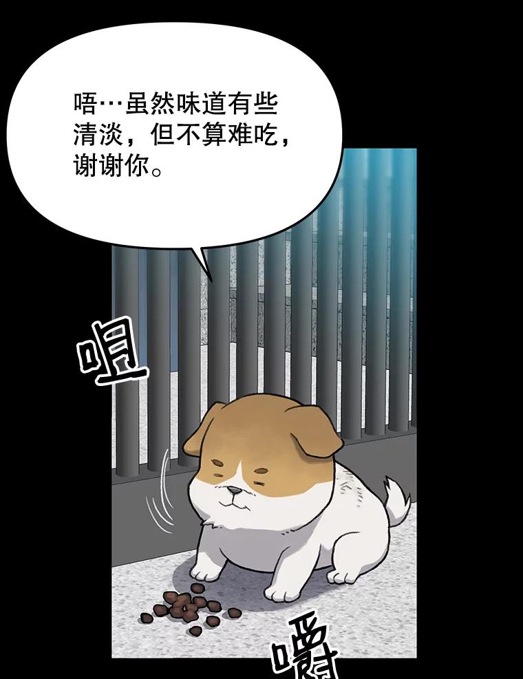 《彩虹桥守望者》22.神秘的流浪者 第41页