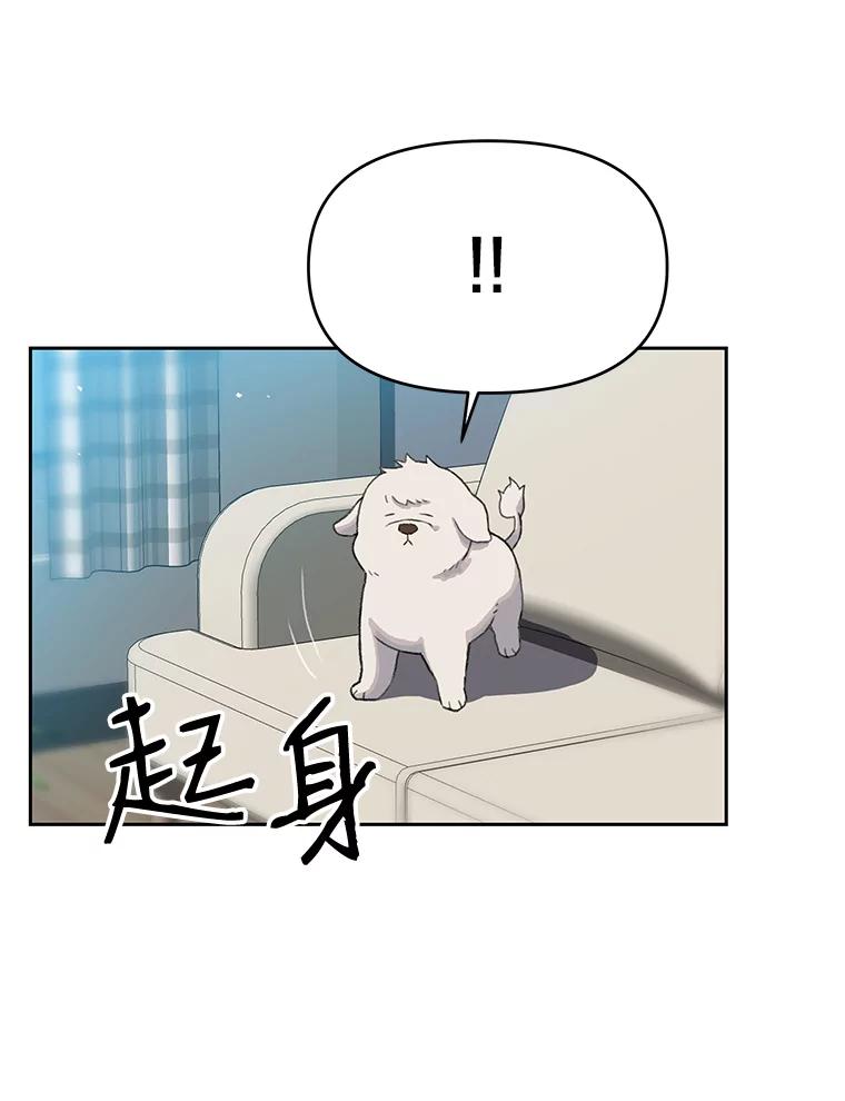 《彩虹桥守望者》22.神秘的流浪者 第71页