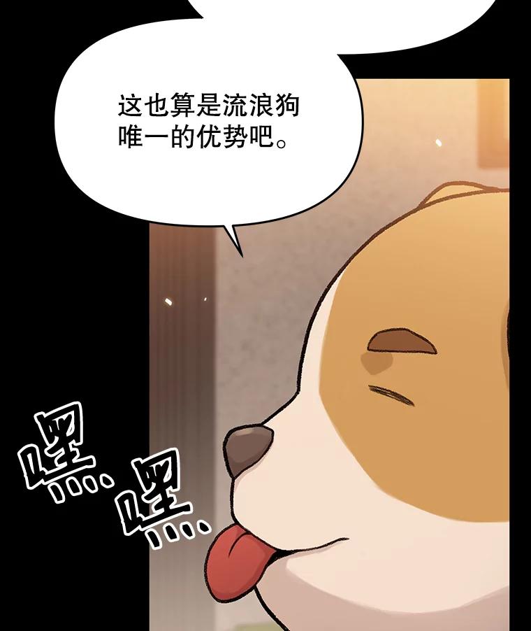 《彩虹桥守望者》22.神秘的流浪者 第14页
