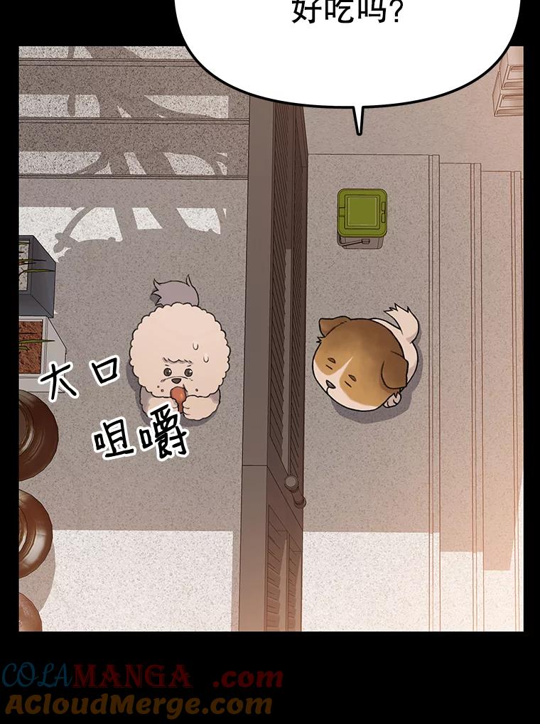 《彩虹桥守望者》22.神秘的流浪者 第7页