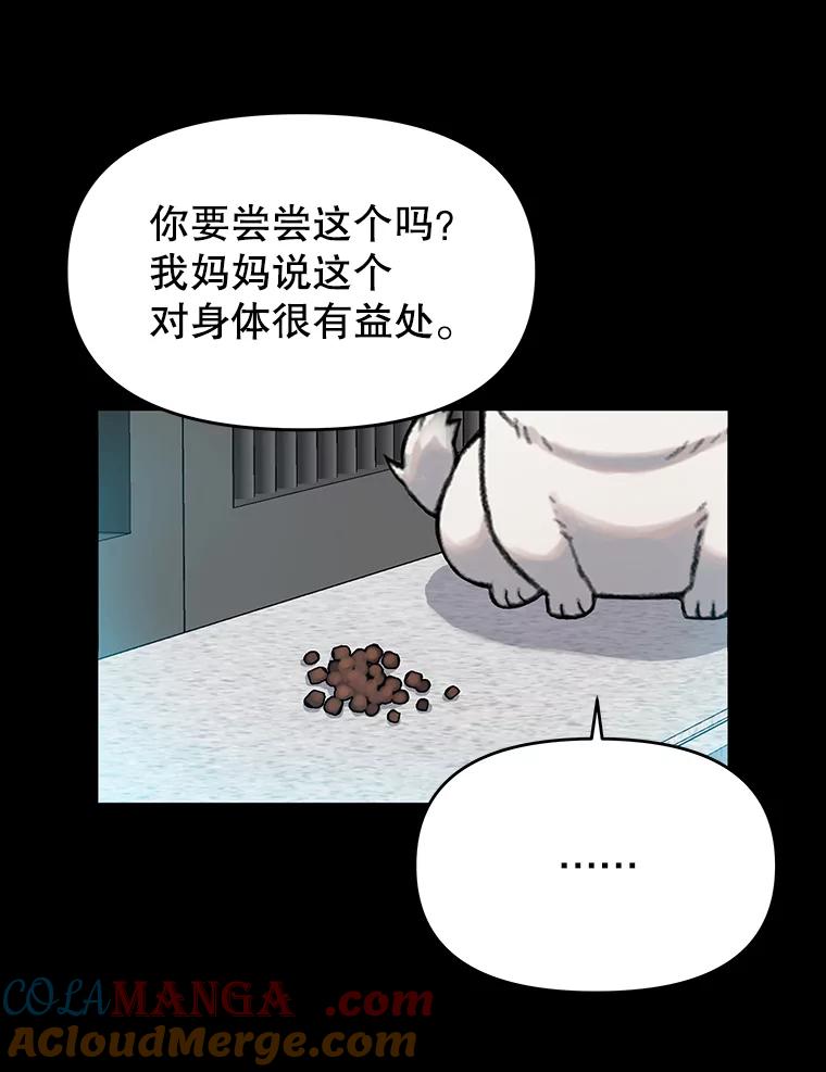 《彩虹桥守望者》22.神秘的流浪者 第40页