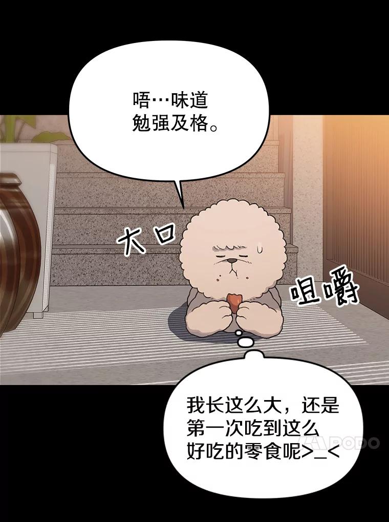 《彩虹桥守望者》22.神秘的流浪者 第8页