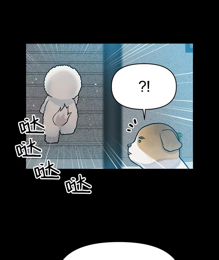 《彩虹桥守望者》22.神秘的流浪者 第47页