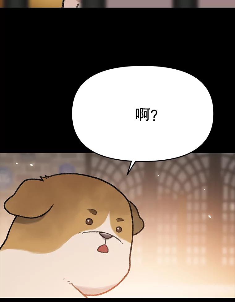 《彩虹桥守望者》22.神秘的流浪者 第27页