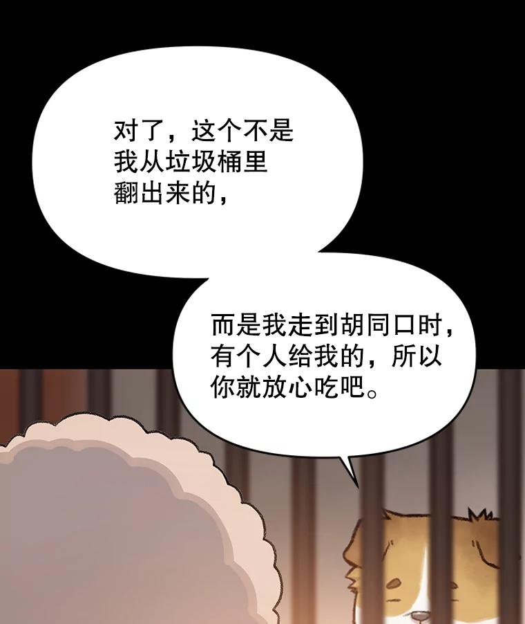 《彩虹桥守望者》22.神秘的流浪者 第9页