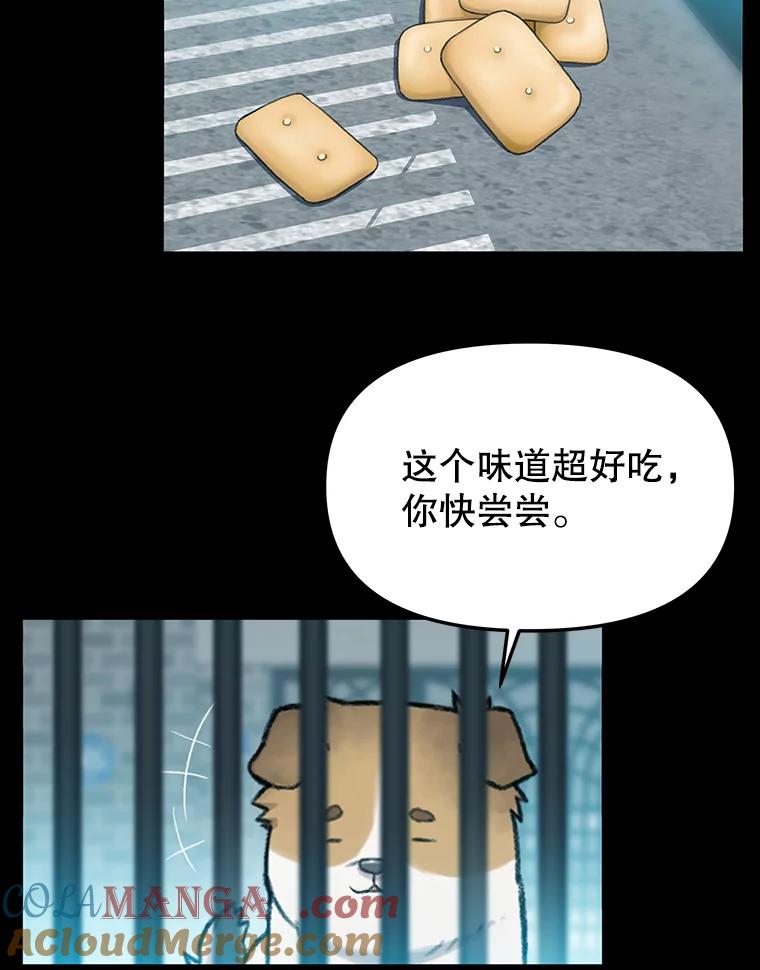 《彩虹桥守望者》22.神秘的流浪者 第37页