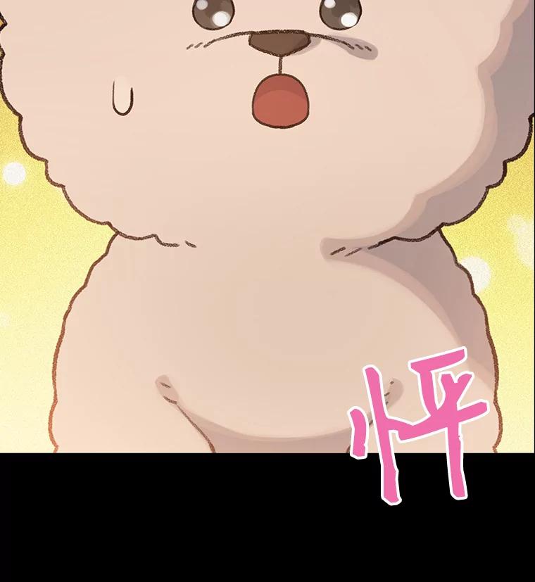 《彩虹桥守望者》22.神秘的流浪者 第3页