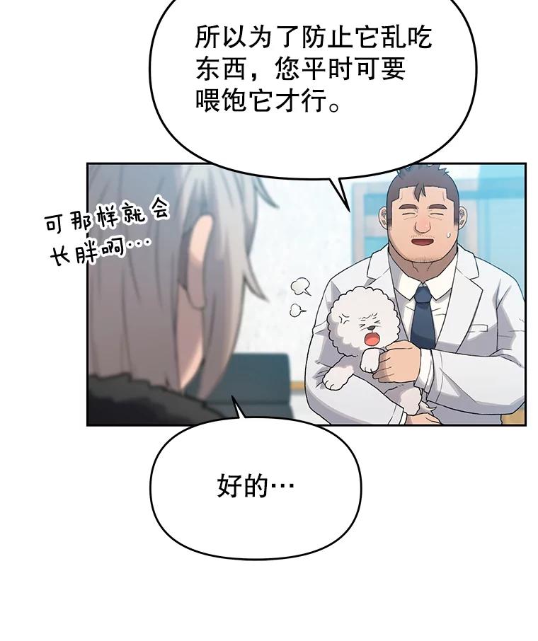 《彩虹桥守望者》22.神秘的流浪者 第62页