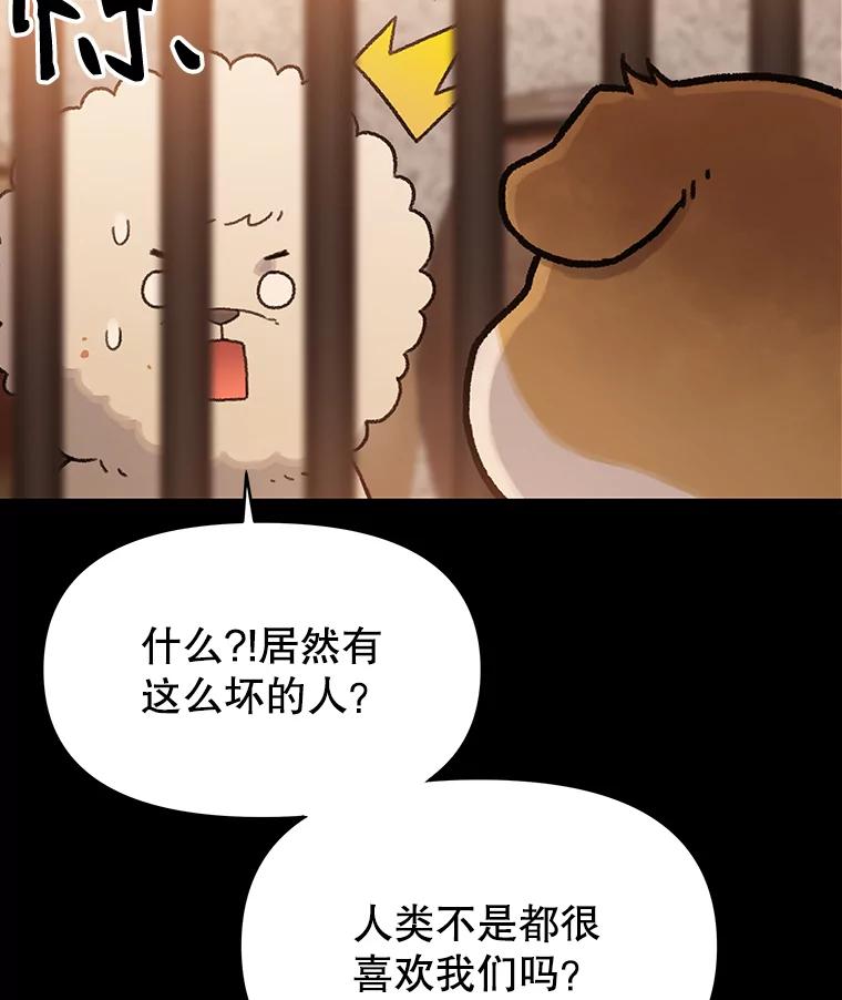 《彩虹桥守望者》22.神秘的流浪者 第11页