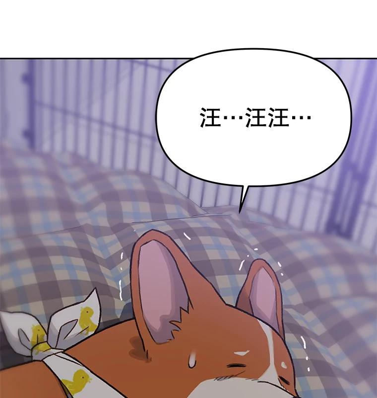 《彩虹桥守望者》23.雪夜 第2页