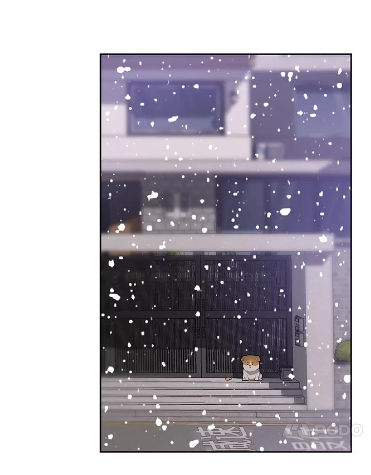 《彩虹桥守望者》23.雪夜 第53页