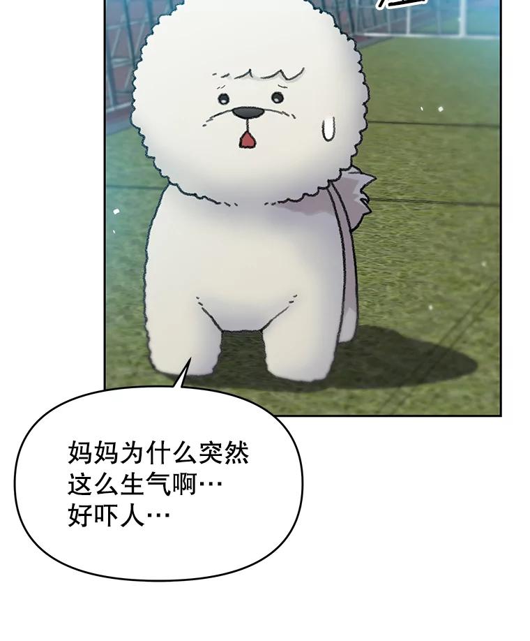 《彩虹桥守望者》24.恭喜梦梦升级 第48页